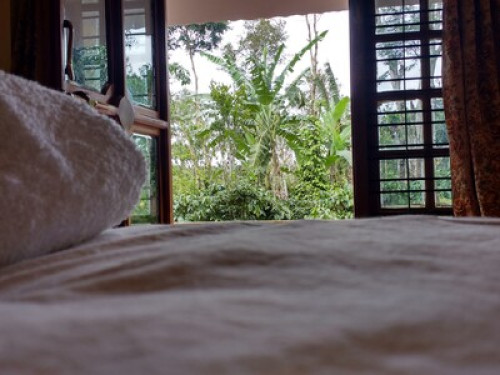 Elephant Trail, Coorg - Gallery - 10