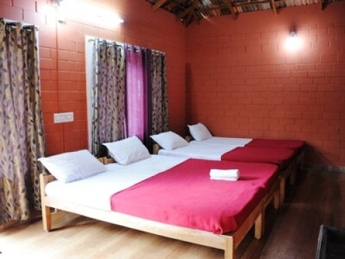 Home away from home amist greenery - Gallery - 15