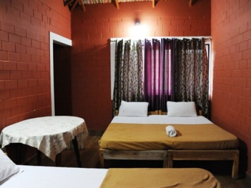 Home away from home amist greenery - Gallery - 10