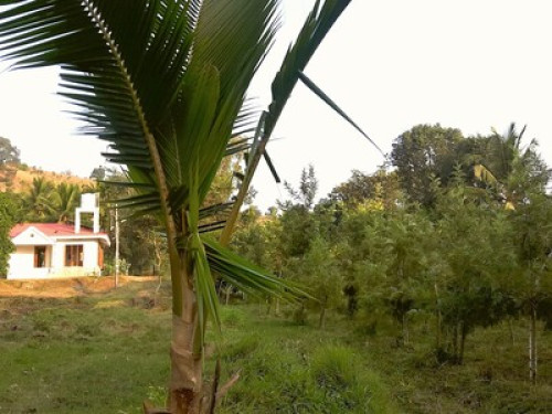 Farm house on river property mysore - Gallery - 7