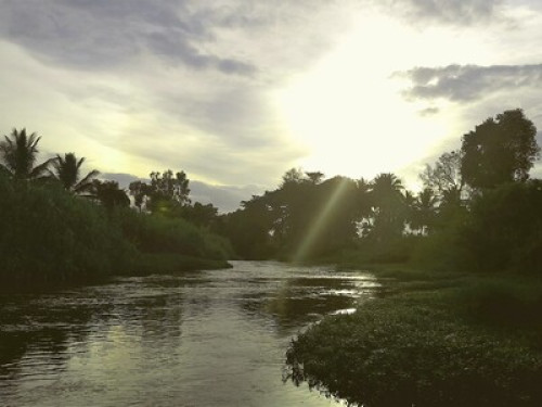 Farm house on river property mysore - Gallery - 6