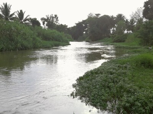 Farm house on river property mysore - Gallery - 8