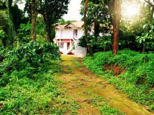 An exquisite hideaway and a natural - Gallery - 5