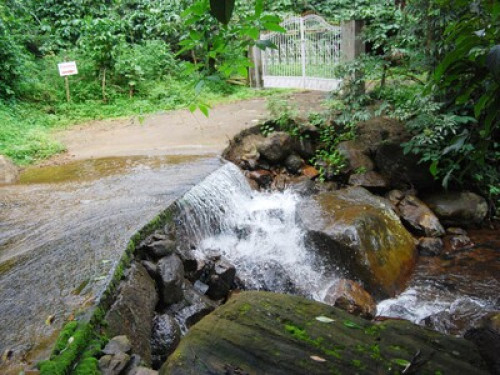 An exquisite hideaway and a natural - Gallery - 3