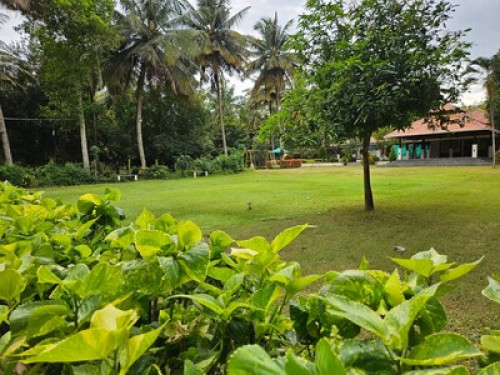 Farm House Stay - Gallery - 8