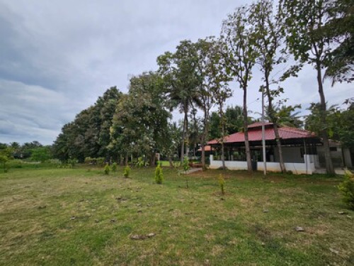 Farm House Stay - Gallery - 3