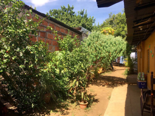 Authentic Nicaraguan Experience!! - Gallery - 4