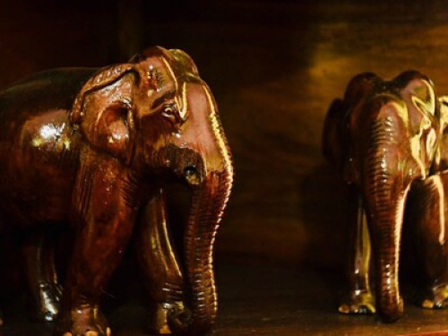 The ManaSarovara - Gallery - 8