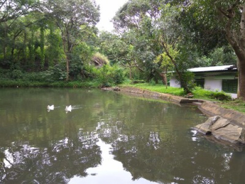 The ManaSarovara - Gallery - 13