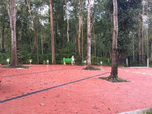Homestay - Gallery - 15