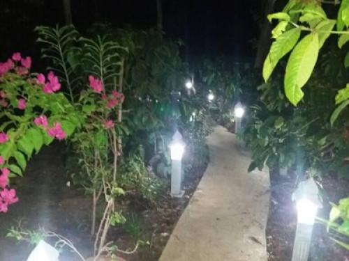 Homestay - Gallery - 9