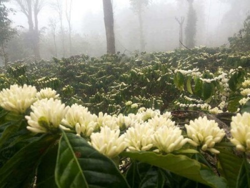 Homestay - Gallery - 5
