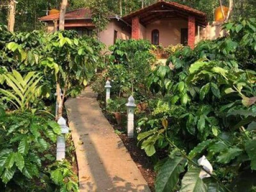 Homestay - Gallery - 12