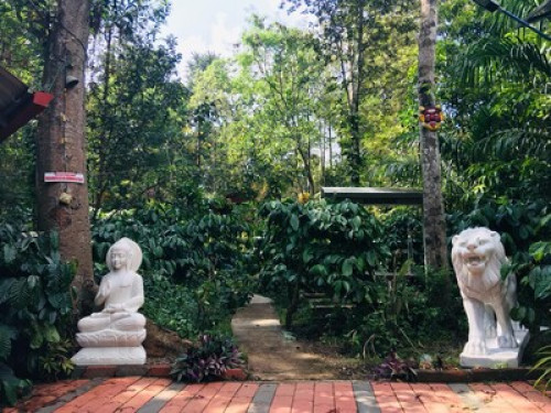 Homestay - Gallery - 27