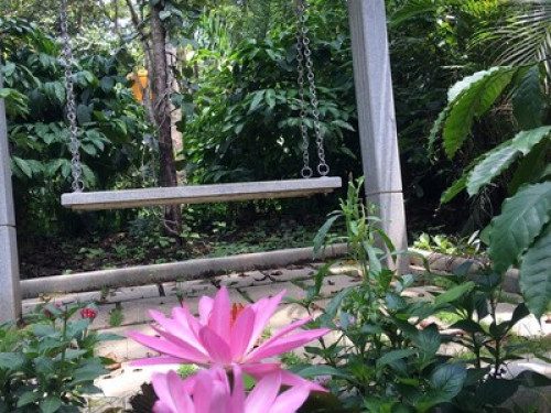 Homestay - Gallery - 10