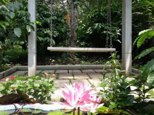 Homestay - Gallery - 24