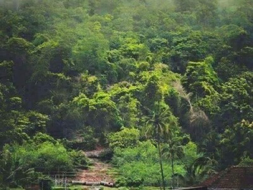 Homestay - Gallery - 4