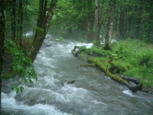 Homestay - Gallery - 6