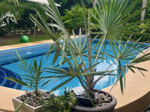 Chilled room in 420 tropical villa - Gallery - 16