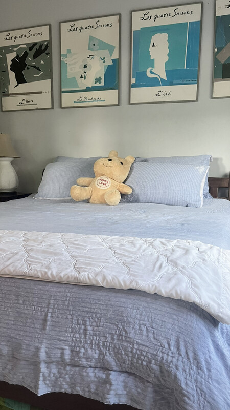 Room 1(Single Bed) - 1