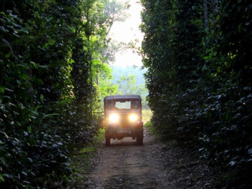 Authentic Coorg house! - Gallery - 6