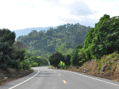 Eastern Nature Homestay - Gallery - 4