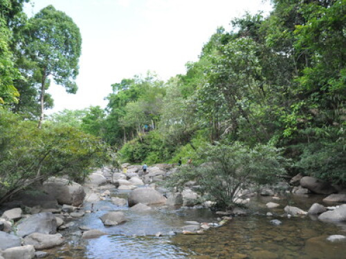Eastern Nature Homestay - Gallery - 5