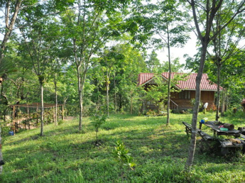Eastern Nature Homestay - Gallery - 14