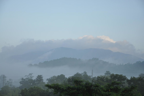 Eastern Nature Homestay - Gallery - 6