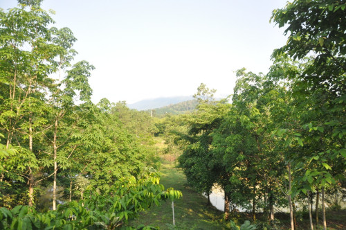 Eastern Nature Homestay - Gallery - 2