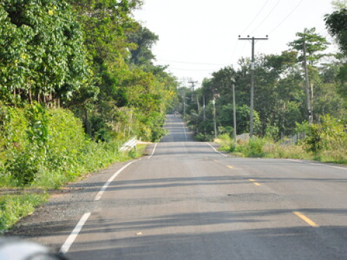 Eastern Nature Homestay - Gallery - 7