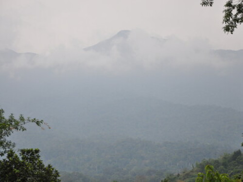 Eastern Nature Homestay - Gallery - 9