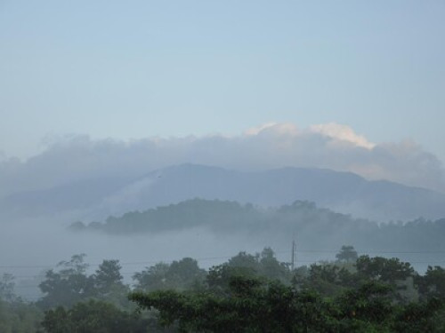 Eastern Nature Homestay - Gallery - 13