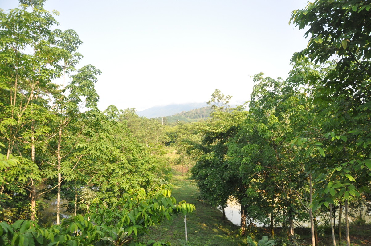 Sunrise View(Single Bed) - 1