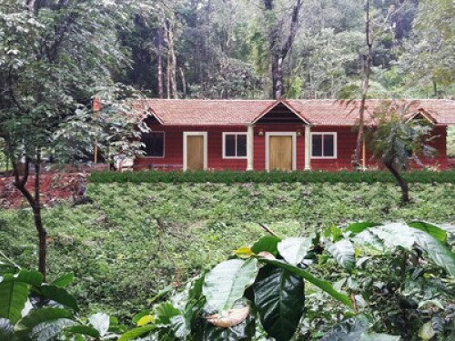 CANOPY GREEN HOMESTAY Sakleshpur  - Gallery - 4