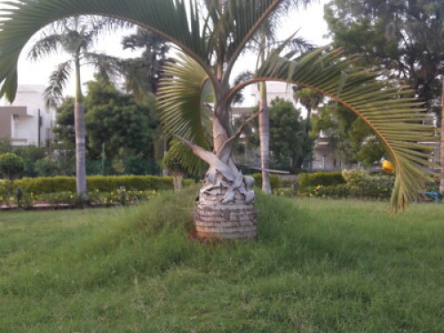 Avigna Township - Gallery - 4