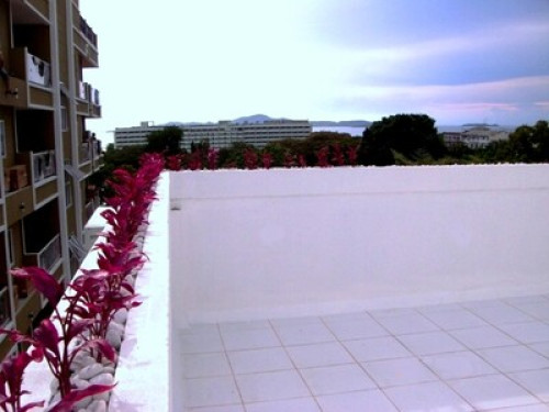 White Elegance & a Touch of Romance - Gallery - 18