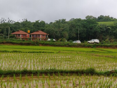 Beautiful streamside homestay - Gallery - 5