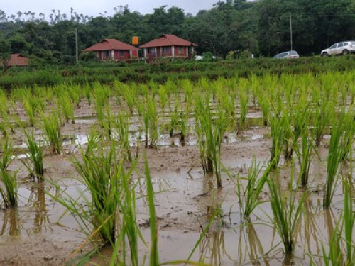 Beautiful streamside homestay - Gallery - 9