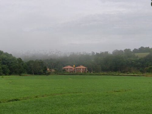 Beautiful streamside homestay - Gallery - 8