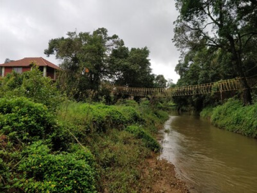 Beautiful streamside homestay - Gallery - 10