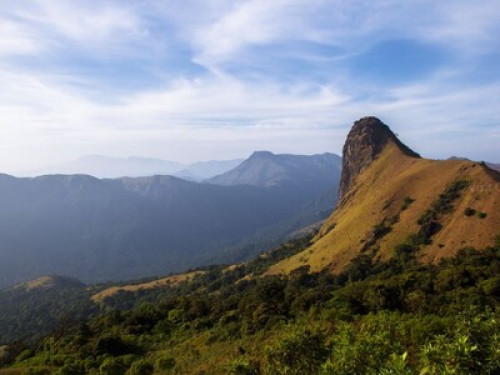 Beautiful streamside homestay - Gallery - 13