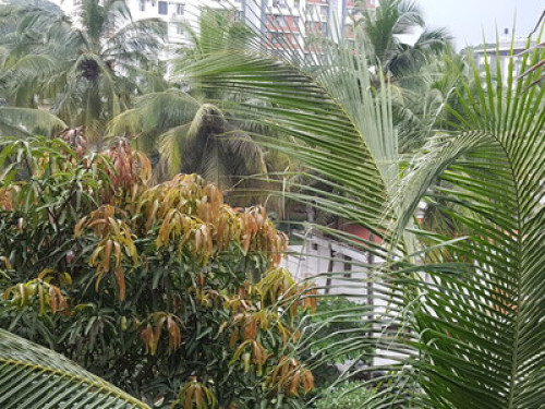 FIZZY STAY@ SAI DWARAKA - Gallery - 5