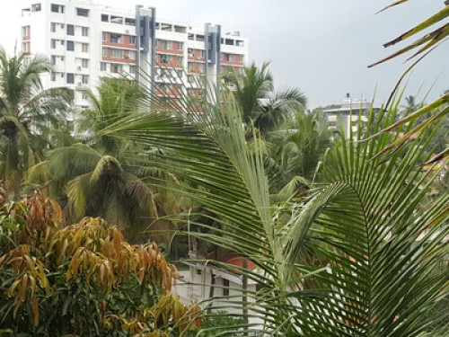 FIZZY STAY@ SAI DWARAKA - Gallery - 6