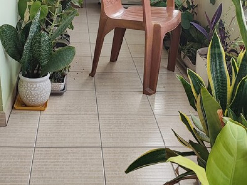 Safe & Comfortable Stay for Women - Gallery - 9