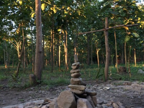 Stay with a Monk - Gallery - 7