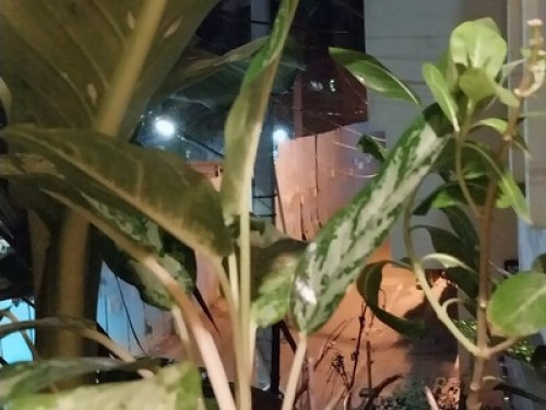 A home away from home - Gallery - 6