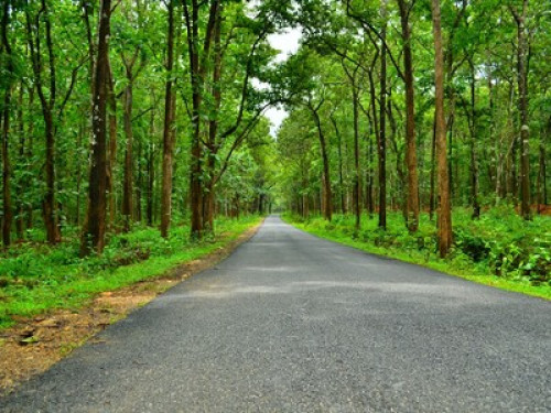 Adventure lovers paradise - Gallery - 17
