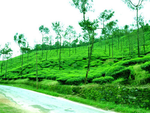 Adventure lovers paradise - Gallery - 11