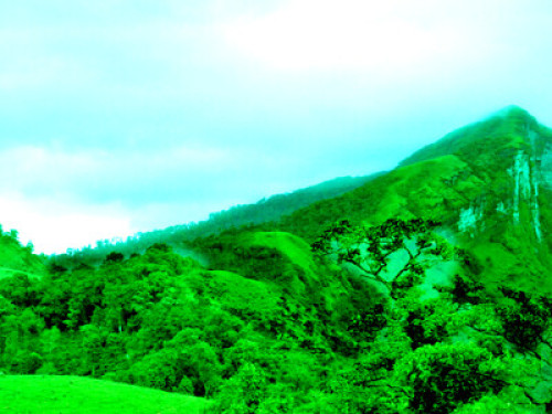 Adventure lovers paradise - Gallery - 15